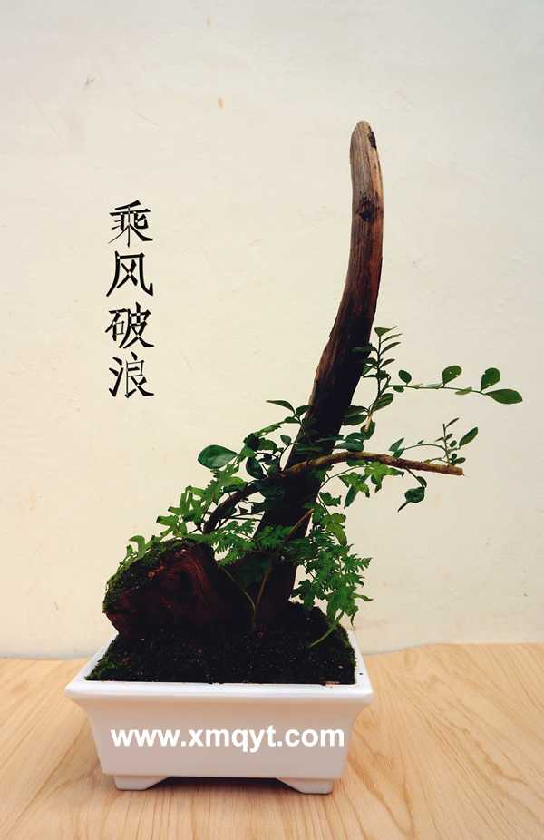 溪木,景致藝術(shù)